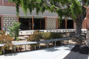 Enlarge photo 39