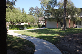 Enlarge photo 17
