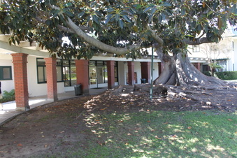 Enlarge photo 23