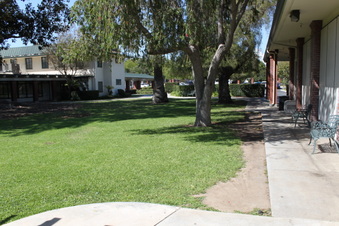 Enlarge photo 66