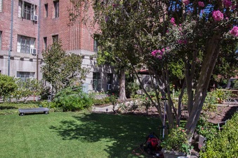 Enlarge photo 225