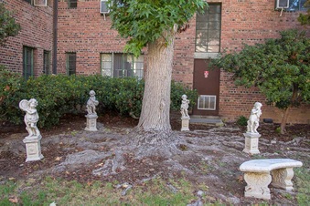 Enlarge photo 255