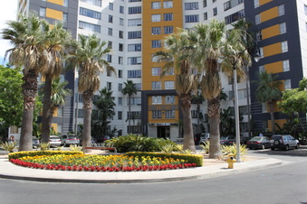 Enlarge photo 51