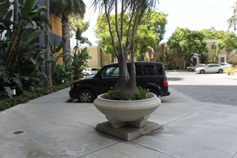 Enlarge photo 58