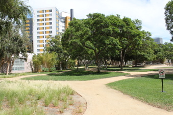 Enlarge photo 71