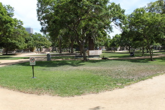 Enlarge photo 73
