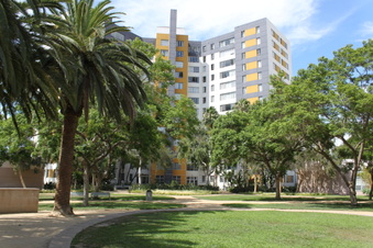 Enlarge photo 80