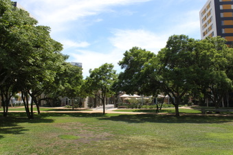 Enlarge photo 81