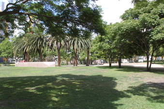 Enlarge photo 85