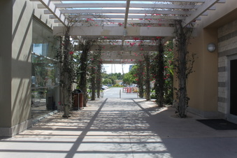 Enlarge photo 88