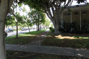 Enlarge photo 134