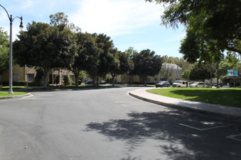 Enlarge photo 139