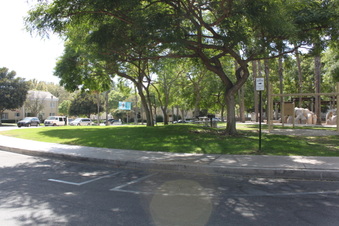 Enlarge photo 138