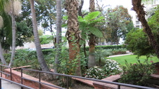 Enlarge photo 24