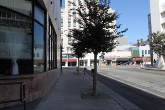 Enlarge photo 10