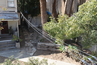 Enlarge photo 37