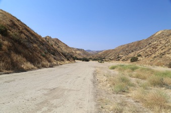 Enlarge photo 157