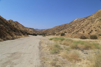 Enlarge photo 158