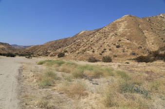 Enlarge photo 159