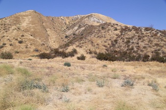 Enlarge photo 160
