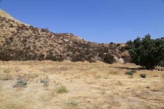 Enlarge photo 161