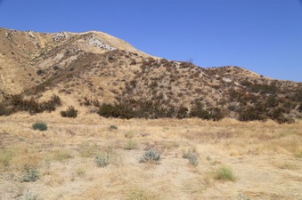 Enlarge photo 162