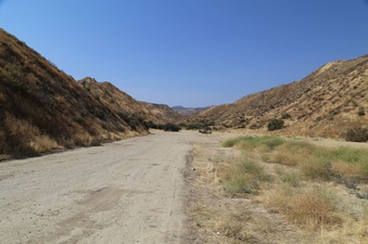 Enlarge photo 163