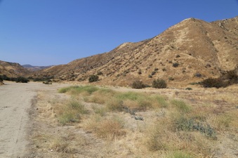 Enlarge photo 164
