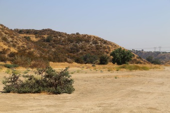 Enlarge photo 166