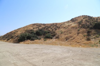 Enlarge photo 167