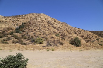 Enlarge photo 169