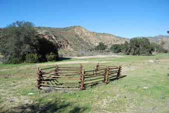Enlarge photo 65