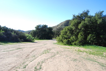 Enlarge photo 74