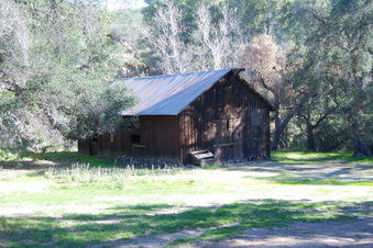 Enlarge photo 85