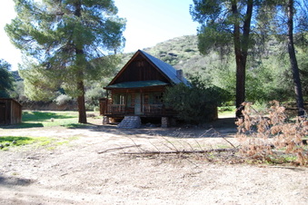 Enlarge photo 99