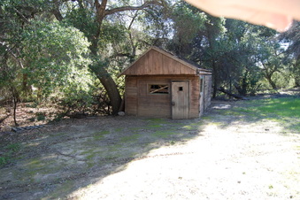 Enlarge photo 113