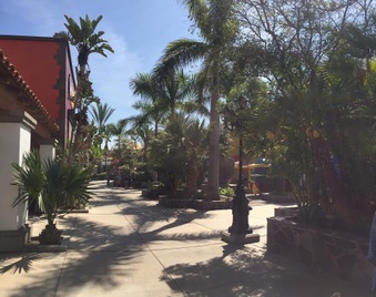 Enlarge photo 32