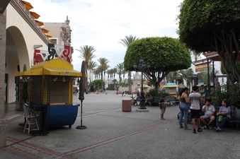 Enlarge photo 14