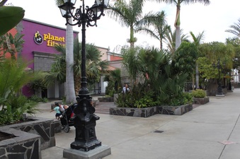 Enlarge photo 44