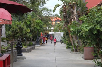 Enlarge photo 68