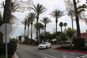 Enlarge photo 72
