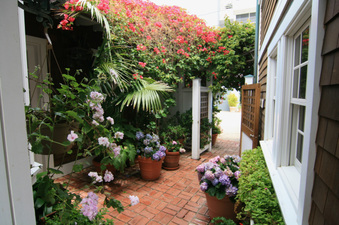 Enlarge photo 37