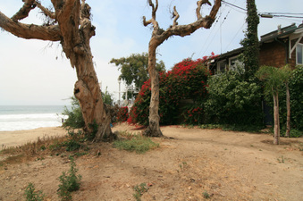Enlarge photo 65