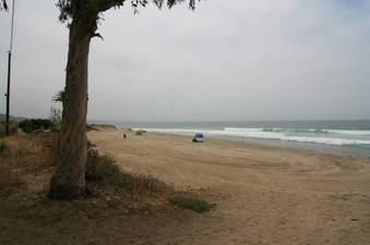 Enlarge photo 72