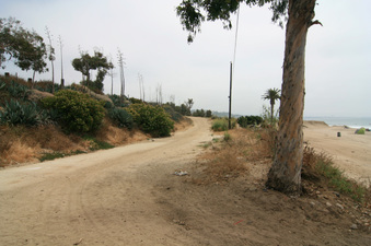 Enlarge photo 73