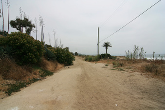 Enlarge photo 74