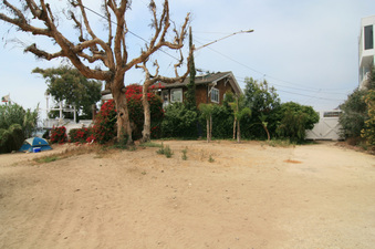 Enlarge photo 75