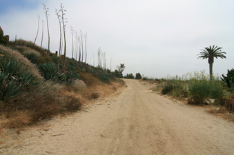 Enlarge photo 76
