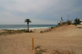 Enlarge photo 80