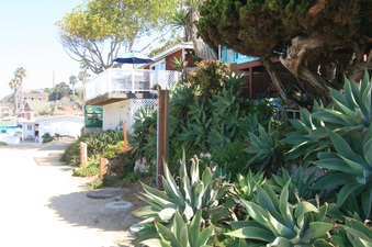 Enlarge photo 42